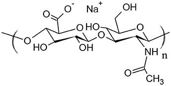 An Effective Translation: The Development of Hyaluronan-Based Medical Products From the Physicochemical, and Preclinical Aspects